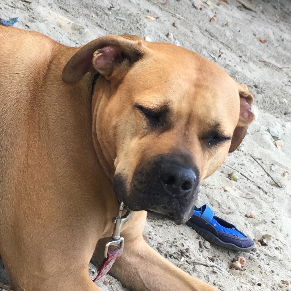 Meet your Posher, Krystal